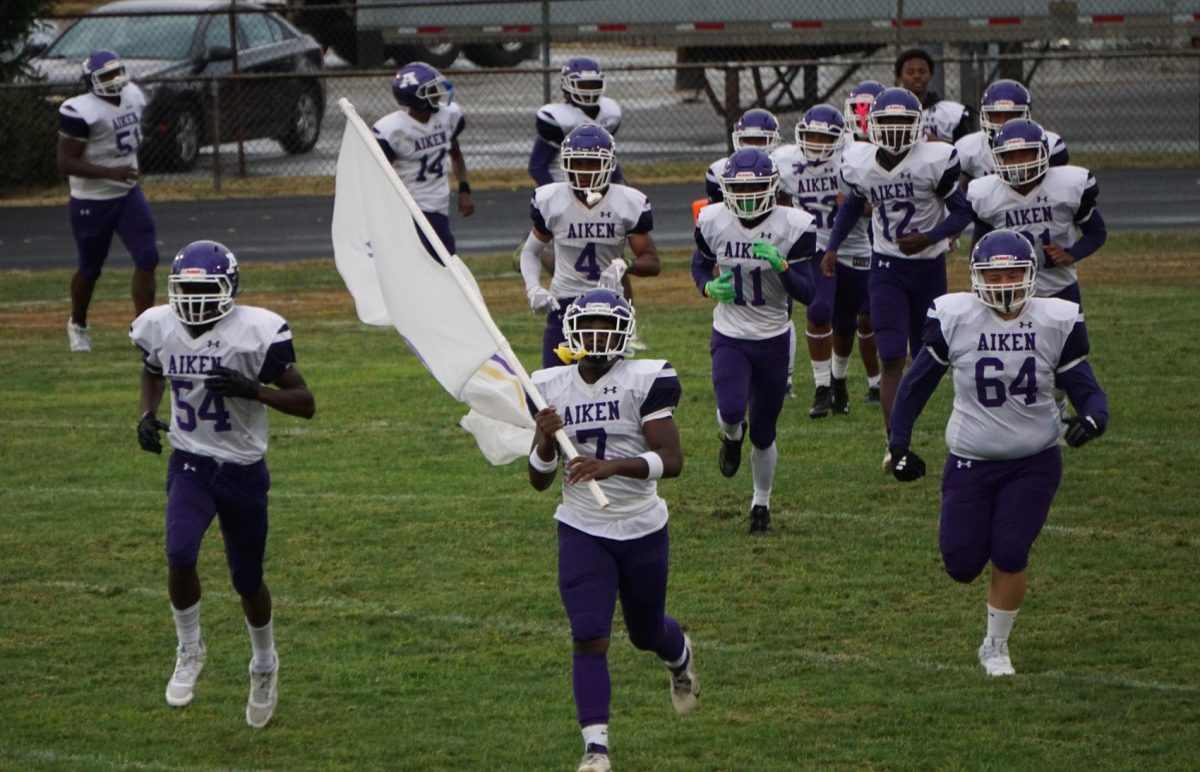 Falcons on the field